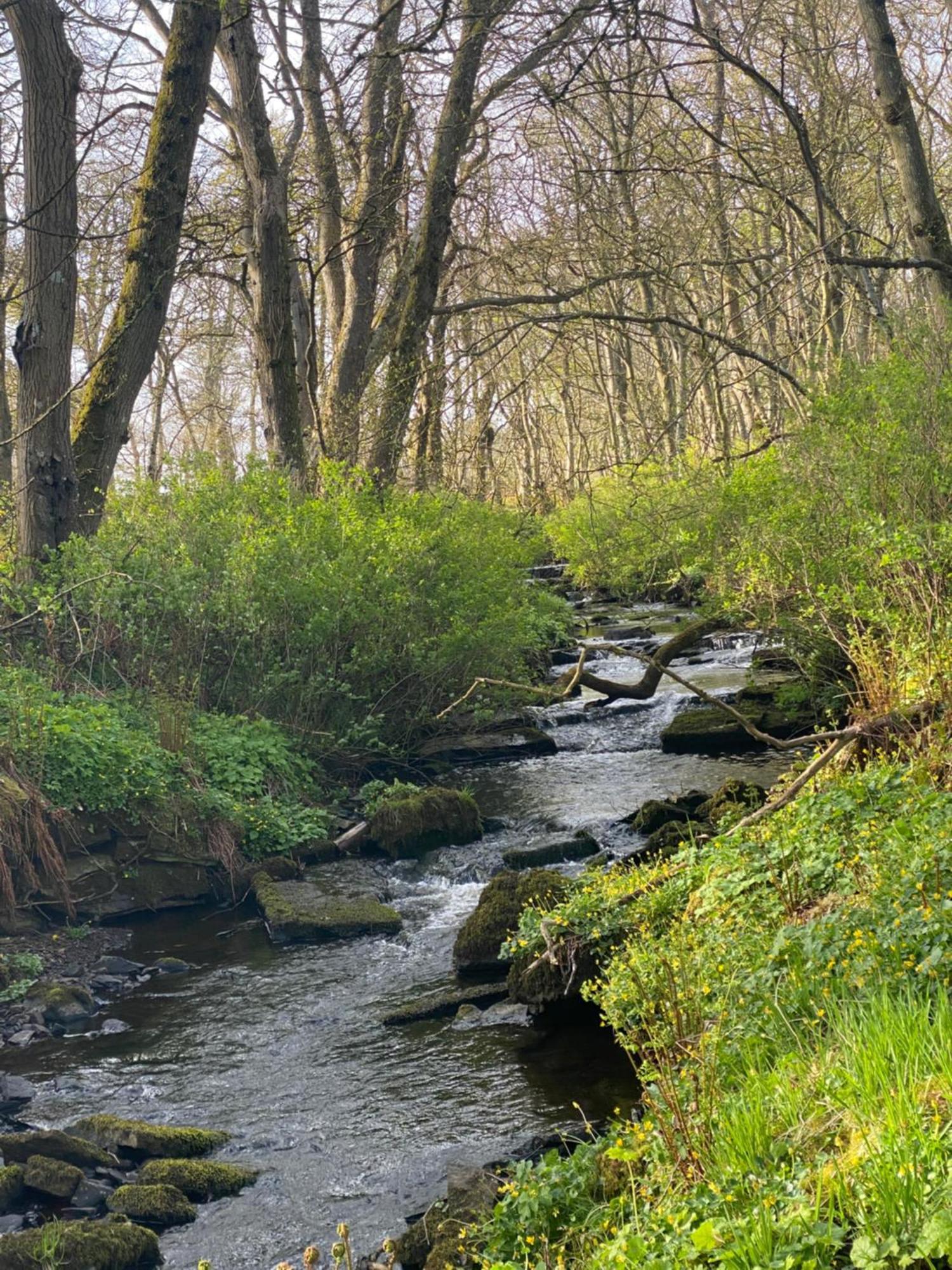 Forse Of Nature Latheron Kültér fotó
